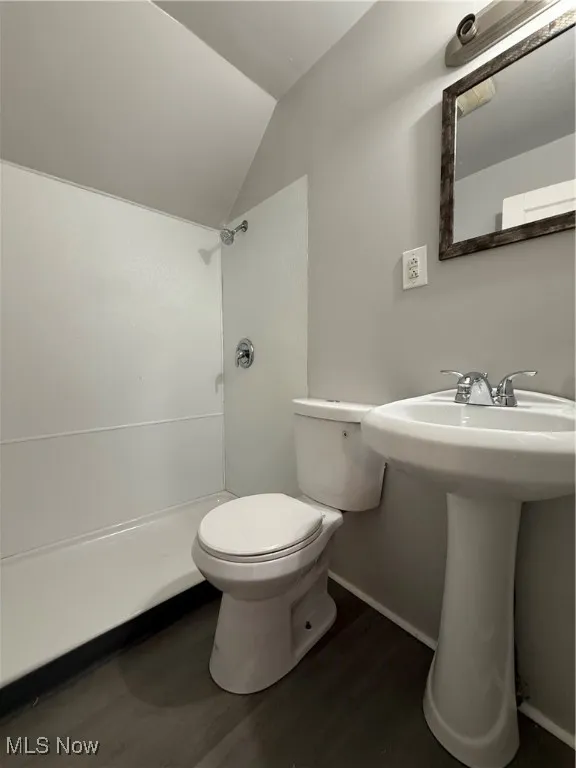 Full bath with vaulted ceiling, dark wood-style floors, and a stall shower