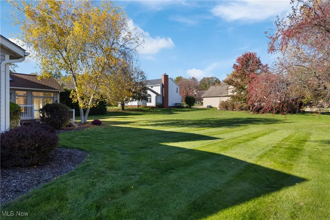 View of grassy side and back yard