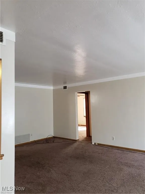 Carpeted spare room with crown molding and a textured ceiling