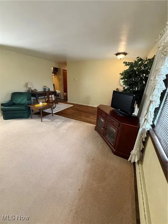 Living room featuring light carpet and baseboards