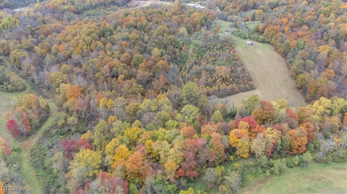 View of property location with a forest