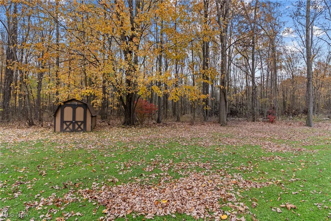 View of grassy yard featuring a storage shed