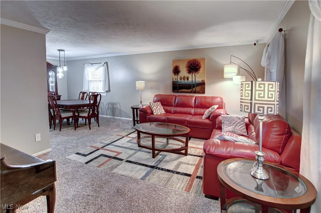 1499 Elizabeth Lane, Macedonia, Ohio 44056,MLS Now Listing ID