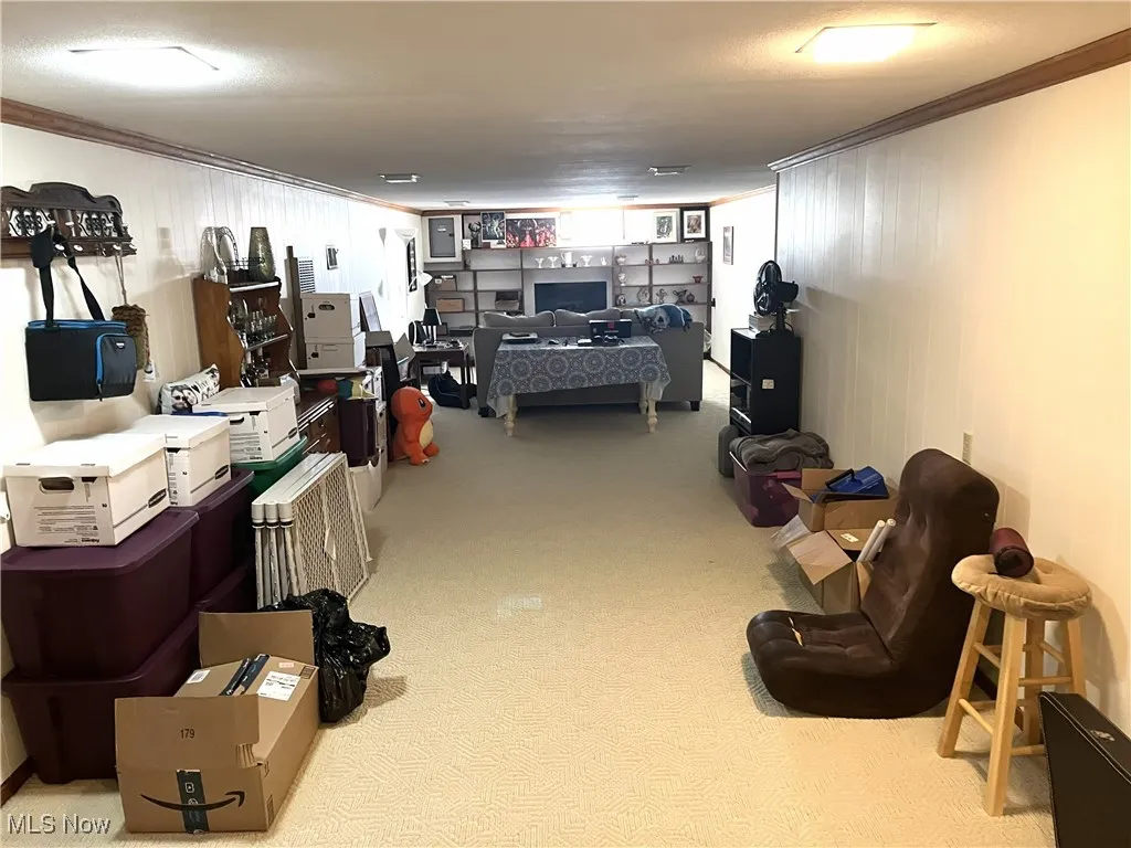 Finished basement with ornamental molding, light colored carpet, and a textured ceiling