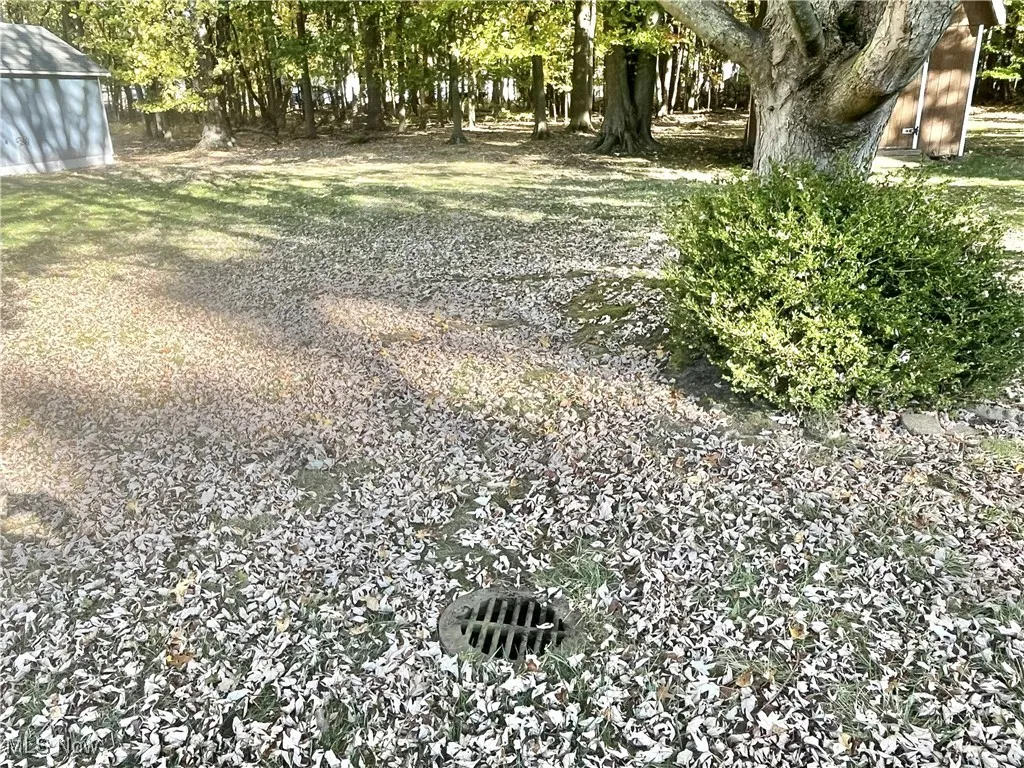View of back yard drainage