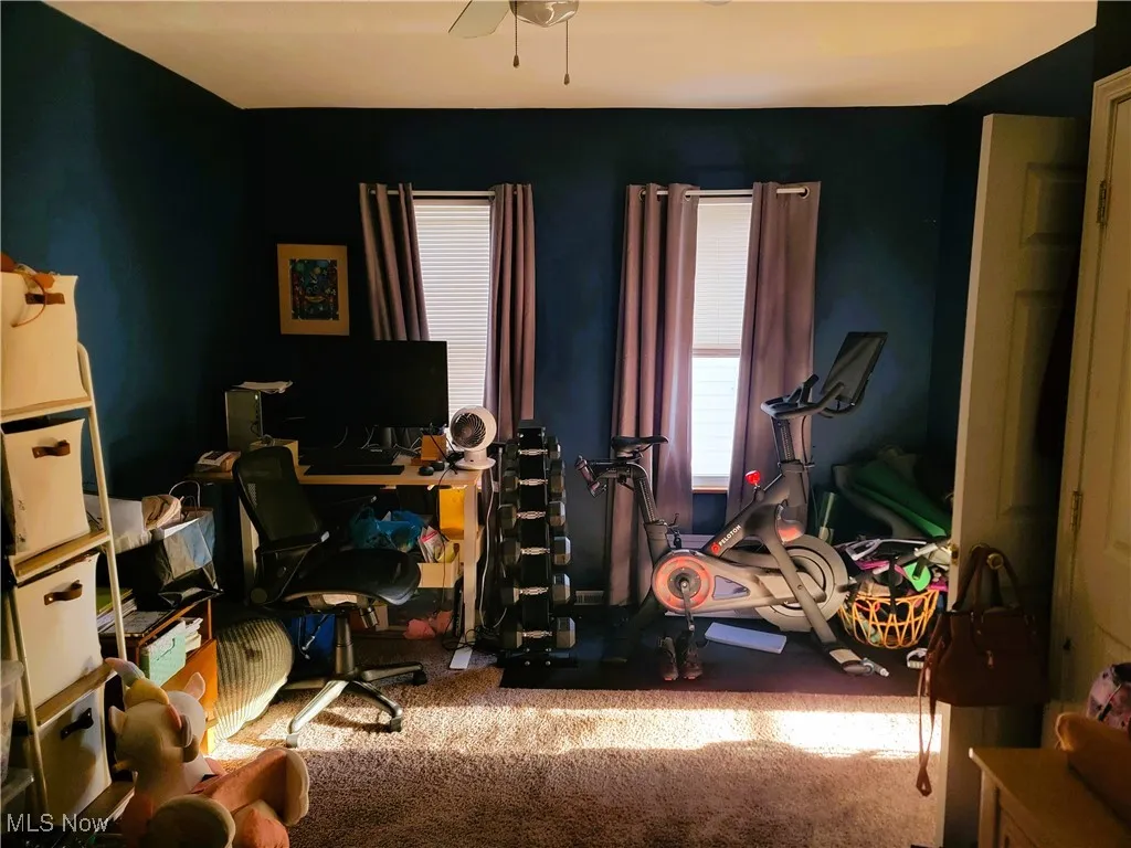Home office featuring carpet and a ceiling fan