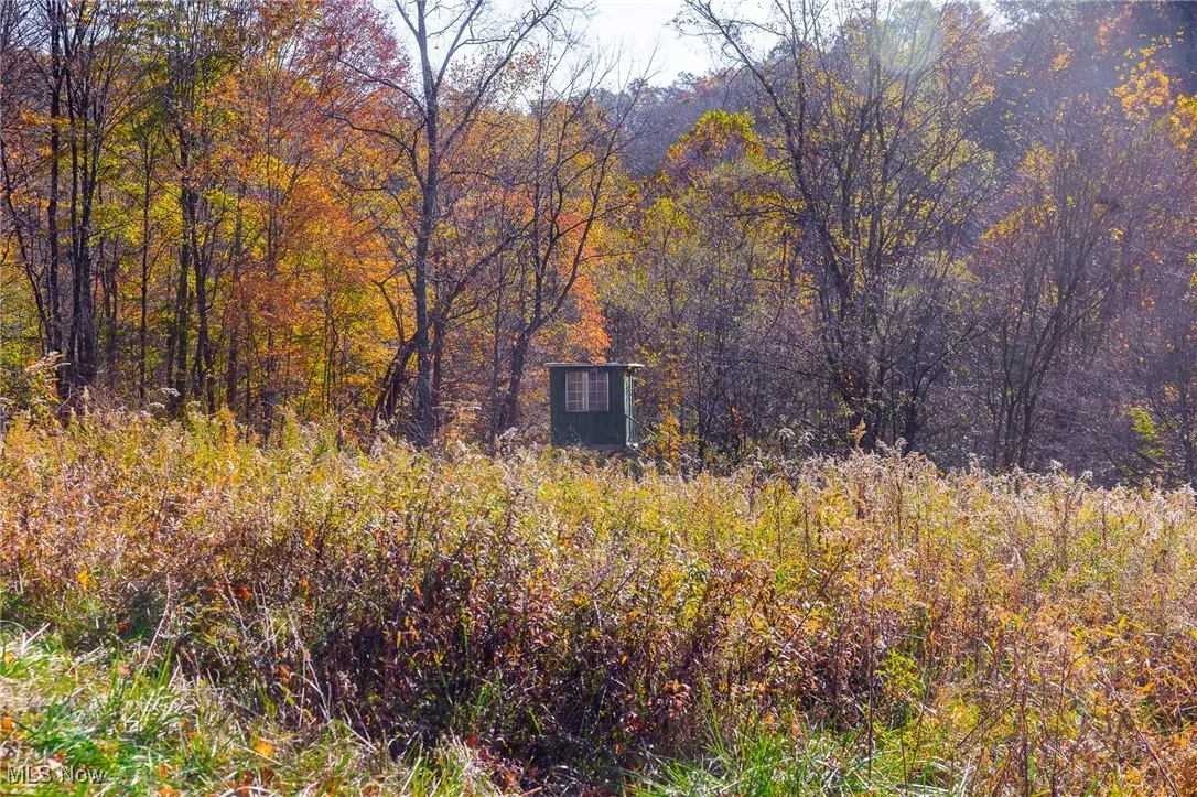 View of undeveloped land