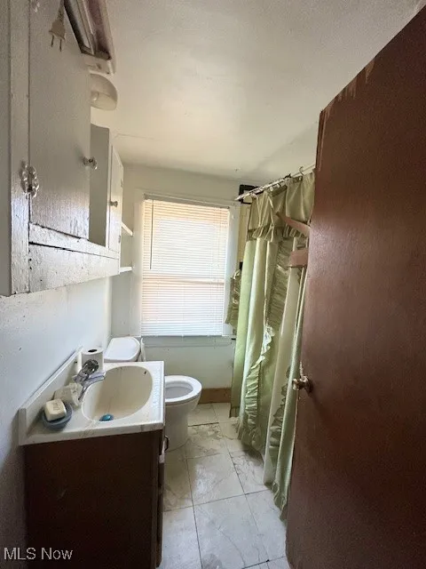 Full bathroom featuring vanity and a shower with shower curtain
