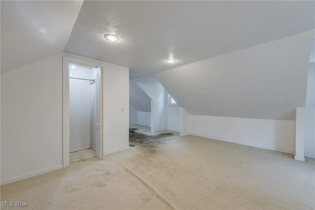 Additional living space with light carpet, a textured ceiling, and lofted ceiling