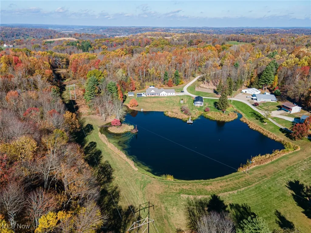 Aerial view of a forest and a large body of water