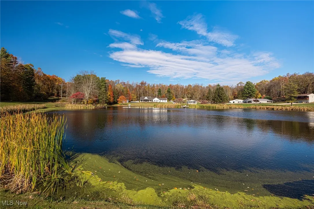 Water view featuring a heavily wooded area