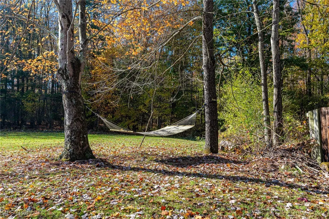 View of undeveloped land