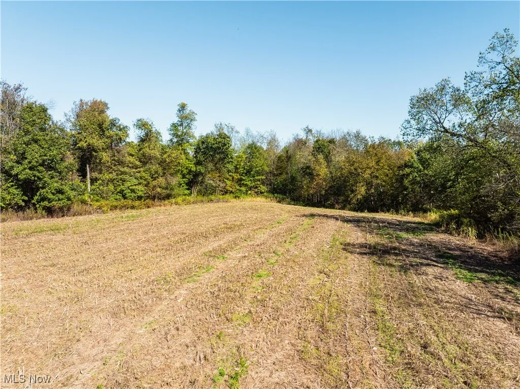 Nonpariel Road, Fredericksburg, Ohio 44627,MLS Now Listing ID