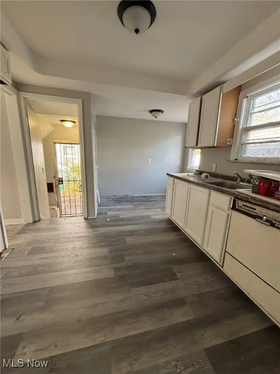 Kitchen featuring dishwasher, dark wood-type flooring, and dark countertops
