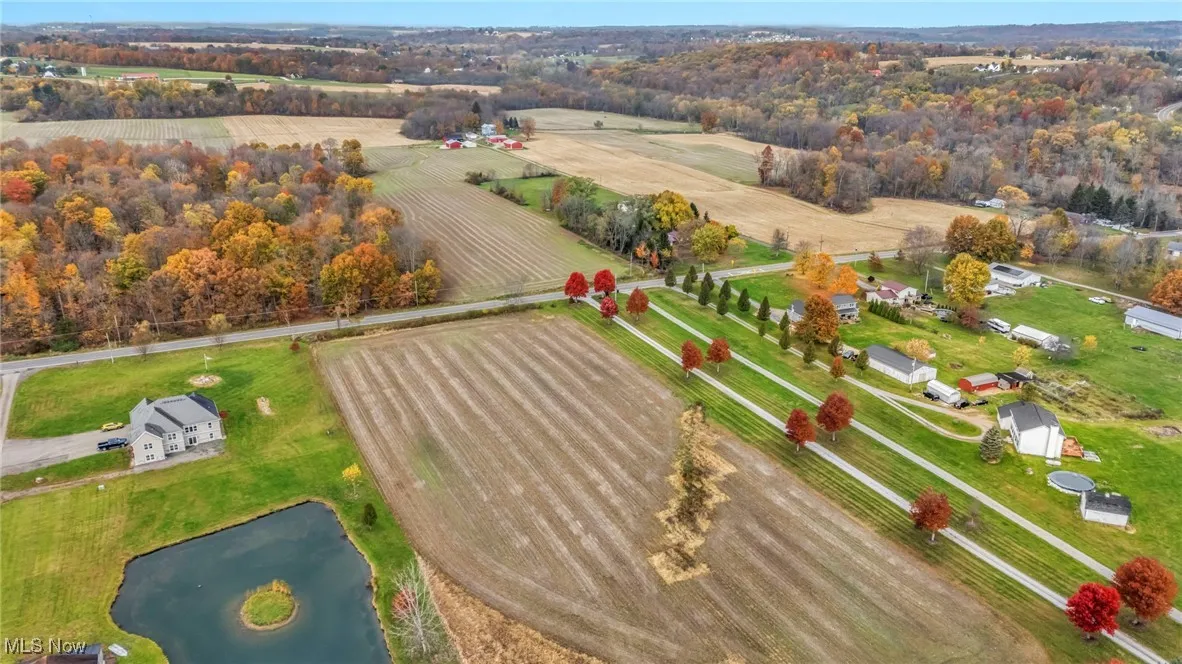 Bird's eye view of a tree filled landscape