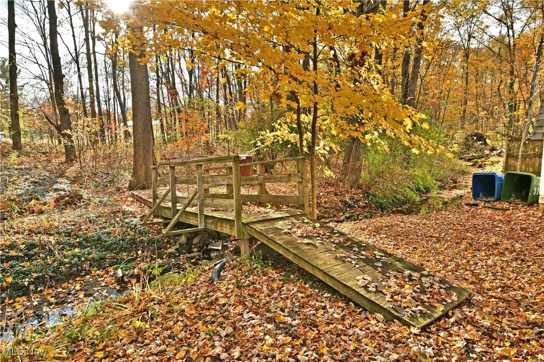small creek with bridge in backyard