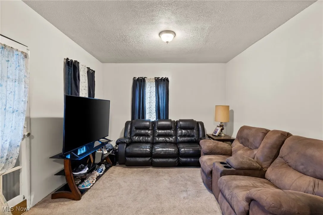 Living room featuring light colored carpet and a textured ceiling
