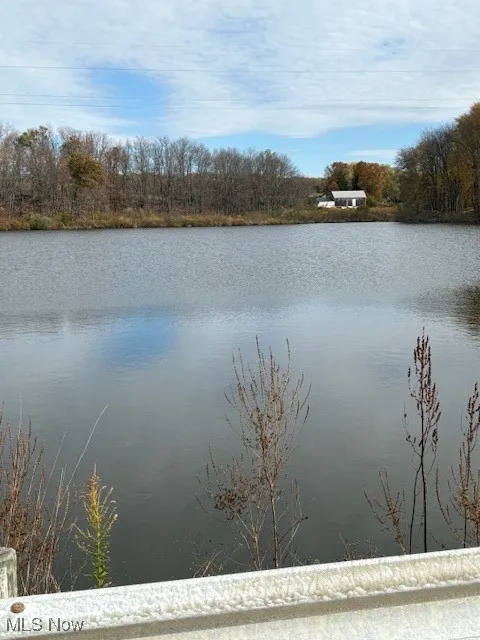 Here is a view of the West side of the property from the road over Nimisila lake that is right around the corner.