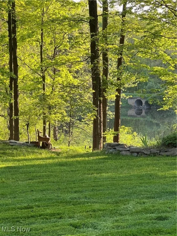 14350 Hartwell Trail, Novelty, Ohio 44072,MLS Now Listing ID