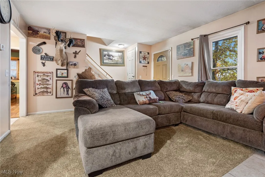 821 Lynnwood Drive, Minerva, Ohio 44657,MLS Now Listing ID