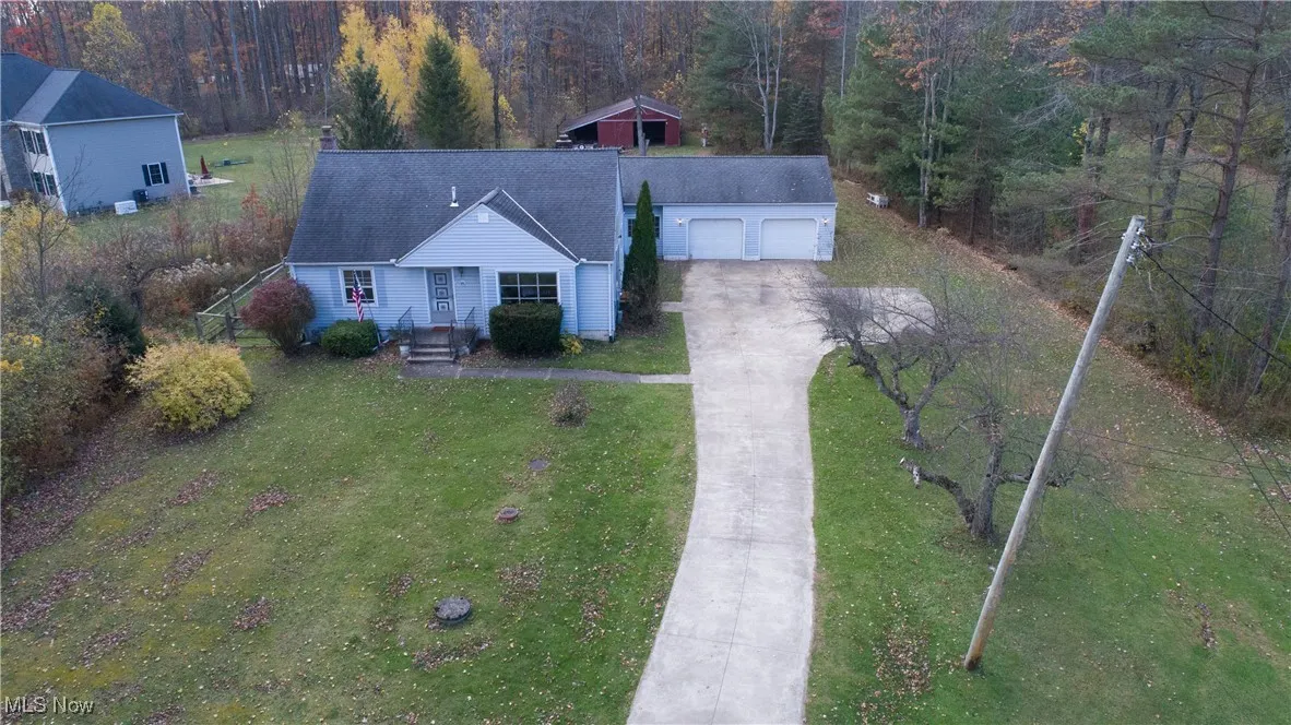 Bird's eye view of a forest