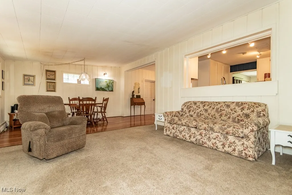Carpeted living room with wooden walls