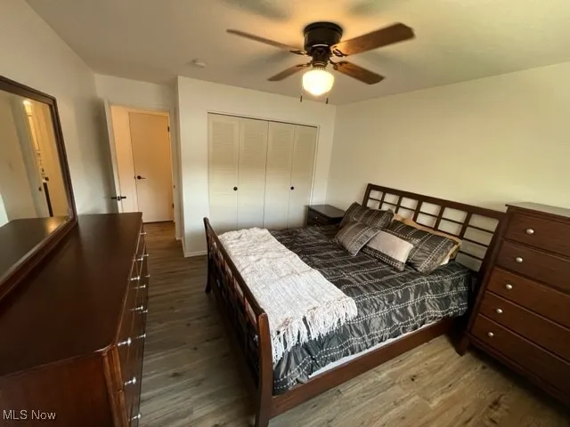 Newer ceiling fan with light and generous closet space