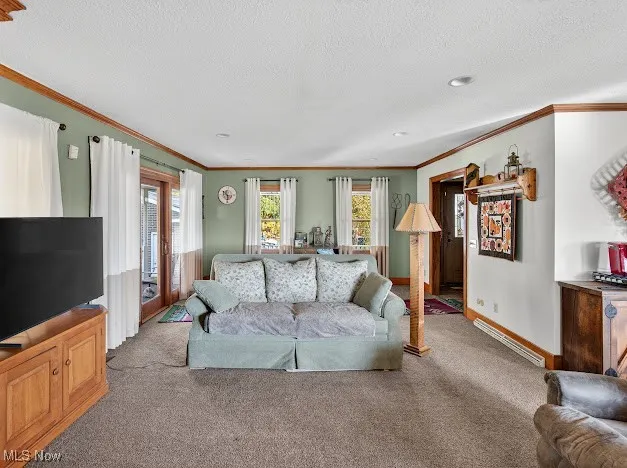 Family room featuring a baseboard heating unit, carpet flooring, ornamental molding, and a textured ceiling
