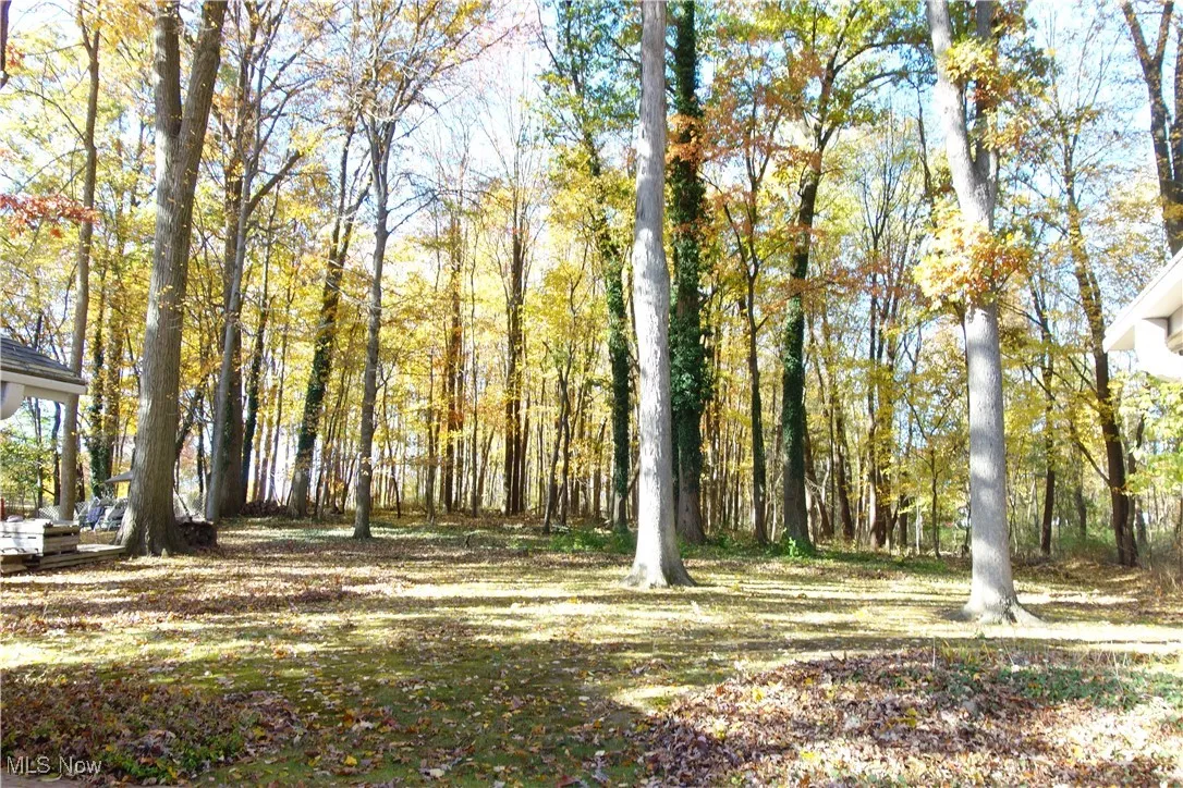 This Back yard will enchant you