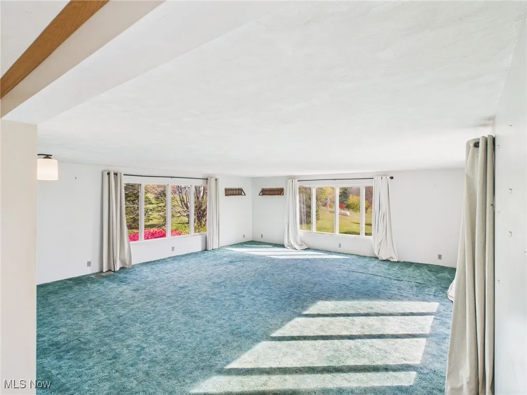 44005 Lude Road, Belmont, Ohio 43718,MLS Now Listing ID