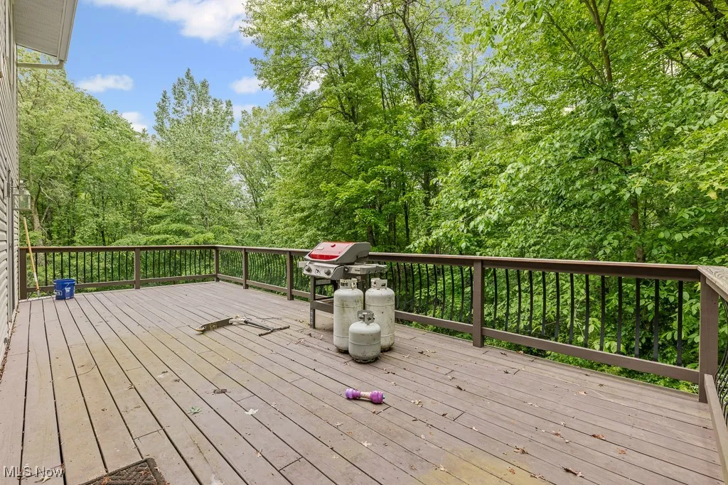 13109 Edison Street, Alliance, Ohio 44601,MLS Now Listing ID