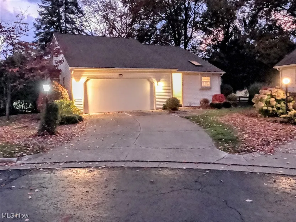 View of front of house with concrete driveway and a garage