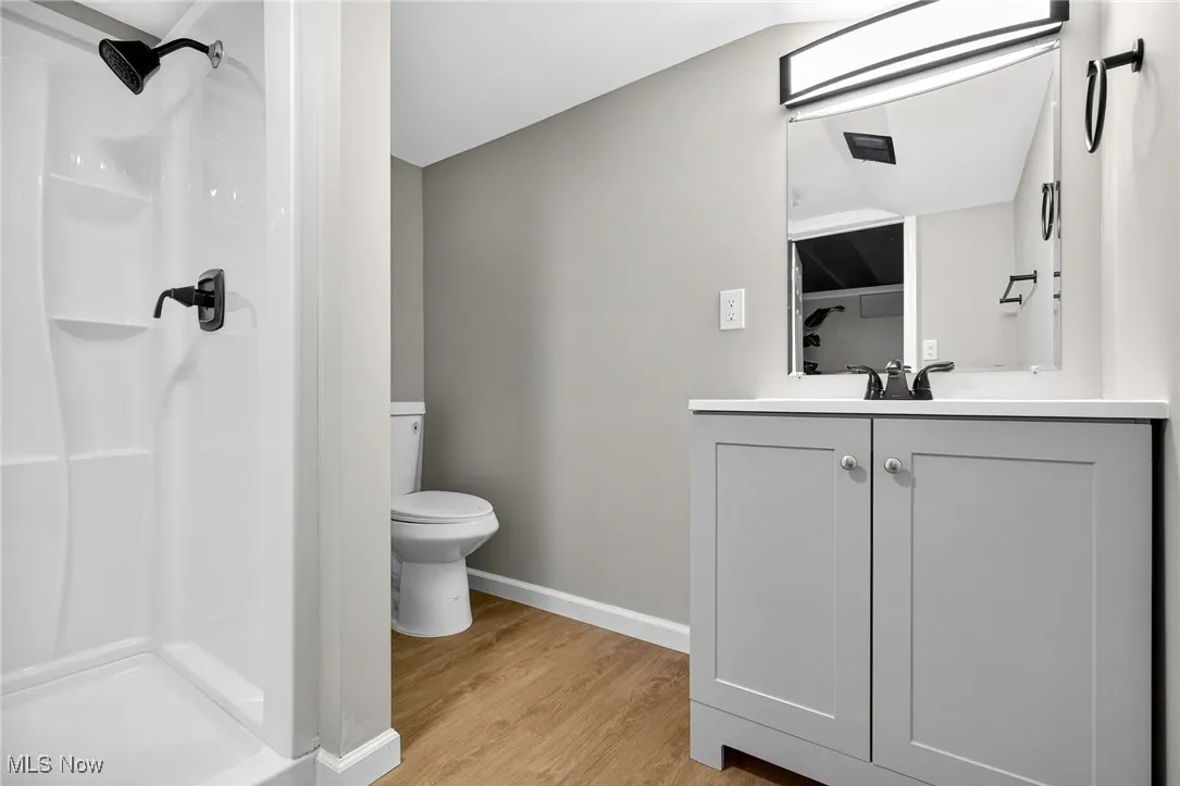 Bathroom with light wood finished floors, a shower stall, and vanity