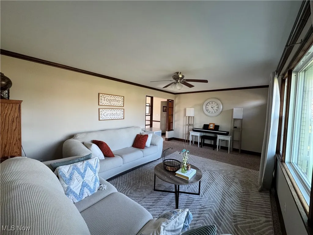 Living area featuring ornamental molding, ceiling fan, and carpet flooring
