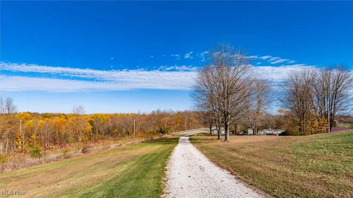 View of dirt / gravel road featuring a forest view