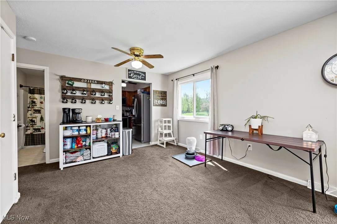 Rec room featuring carpet and a ceiling fan