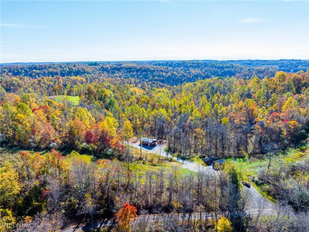 View of subject property with a forest