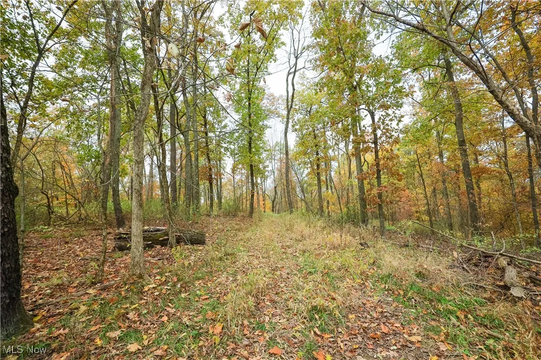 V/L Nw Lake Road, Strasburg, Ohio 44680,MLS Now Listing ID
