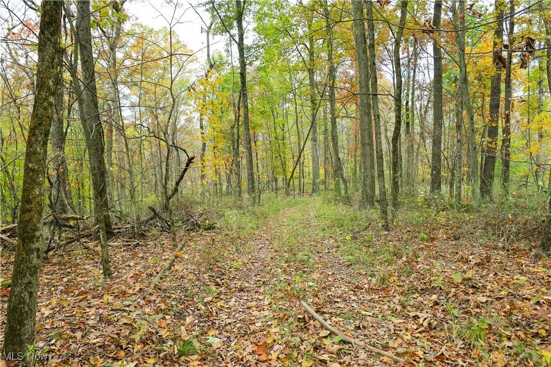 V/L Nw Lake Road, Strasburg, Ohio 44680,MLS Now Listing ID