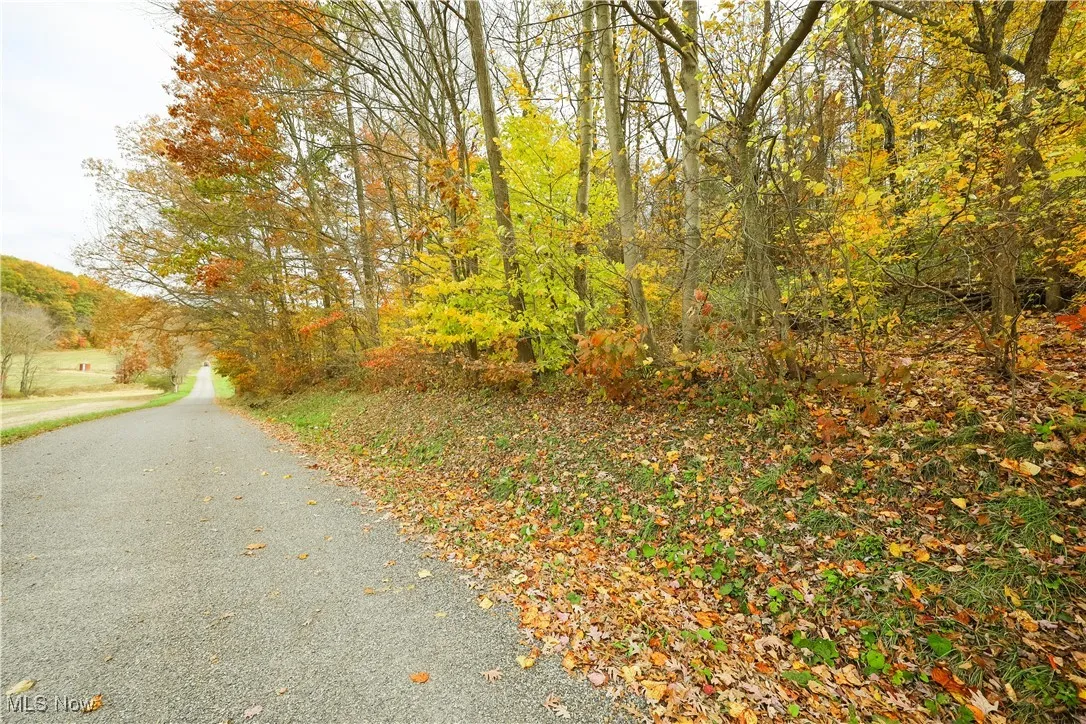 V/L Nw Lake Road, Strasburg, Ohio 44680,MLS Now Listing ID