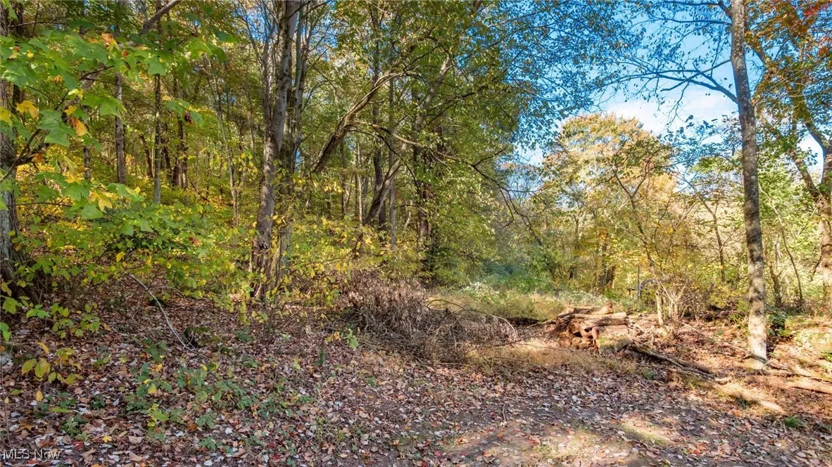 17981 Township Road 347, Coshocton, Ohio 43812,MLS Now Listing ID