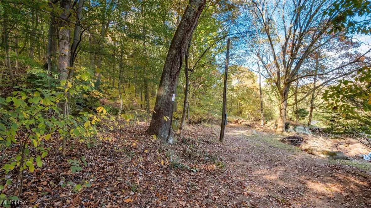 17981 Township Road 347, Coshocton, Ohio 43812,MLS Now Listing ID