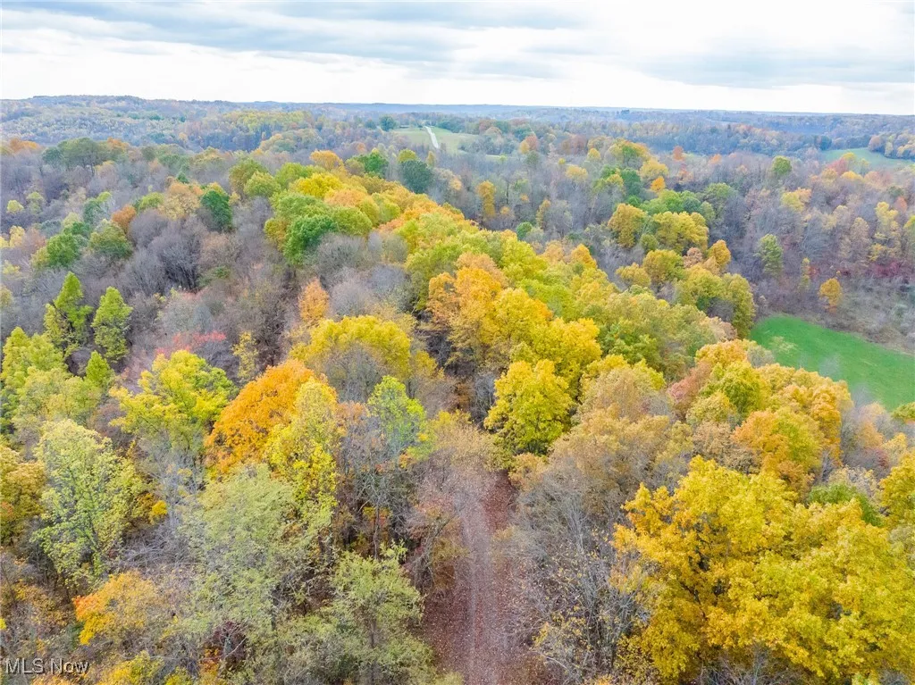Aerial view of a heavily wooded area