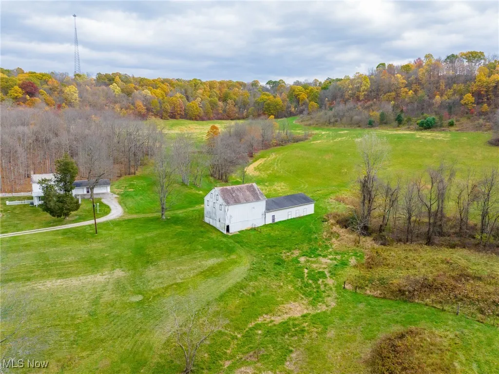 Bird's eye view of a forest
