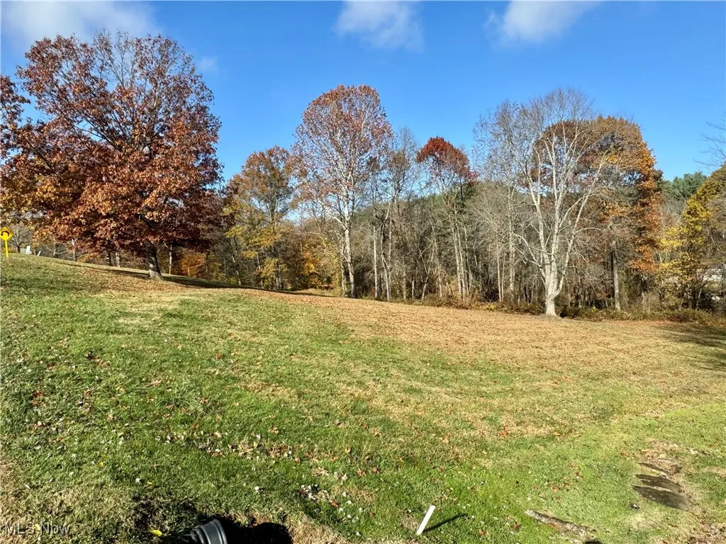 View of grassy yard with a wooded view