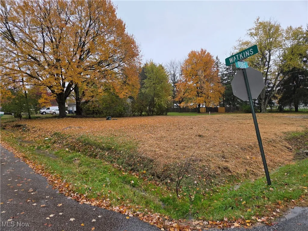 4234 Watkins Road, Barberton, Ohio 44203,MLS Now Listing ID