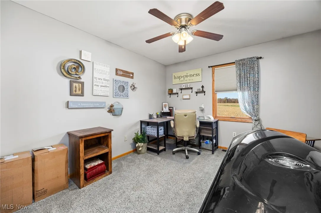 Office with light carpet and a ceiling fan