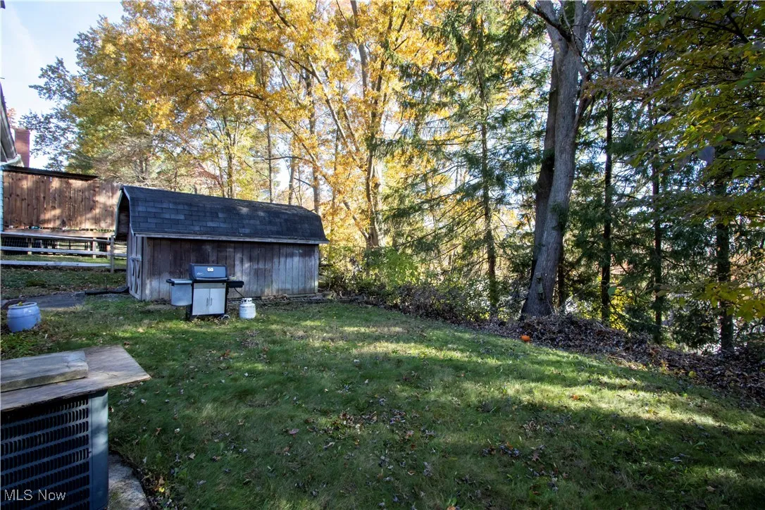 View of green lawn featuring a storage unit and view of scattered trees