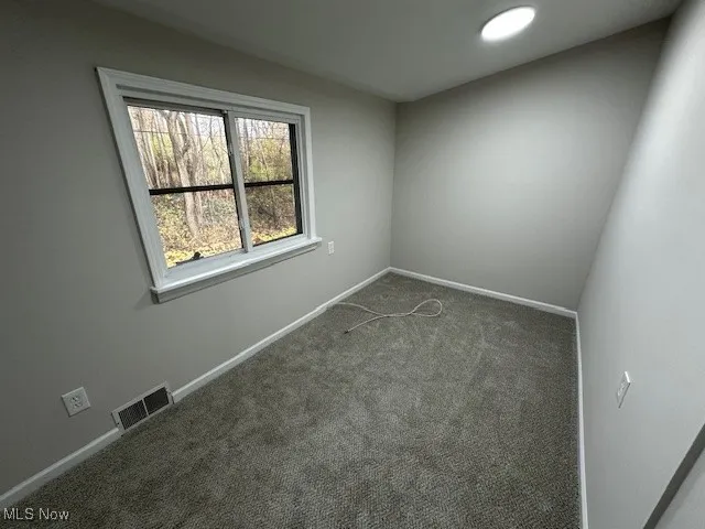 Carpeted spare room with baseboards
