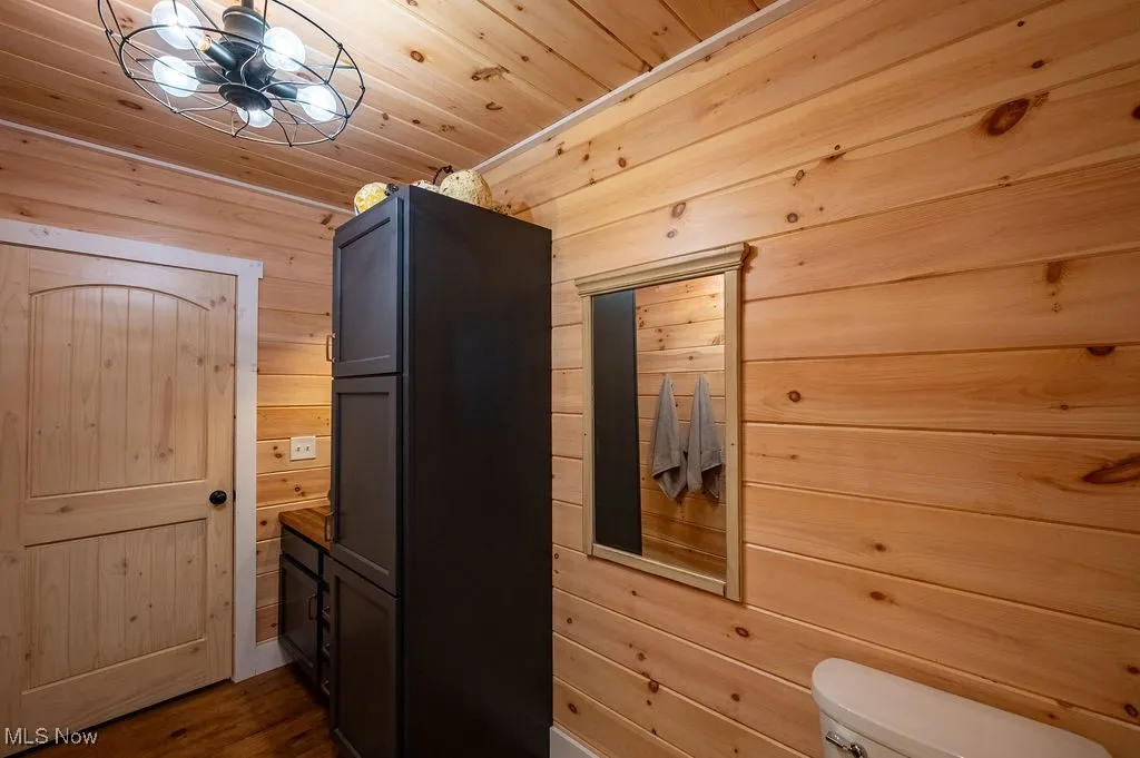 View showing storage cabinet area